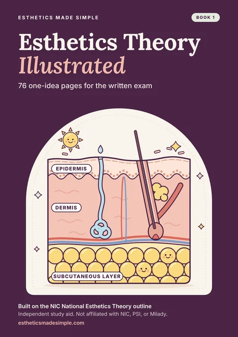 Book 1: Esthetics Theory Illustrated cover
