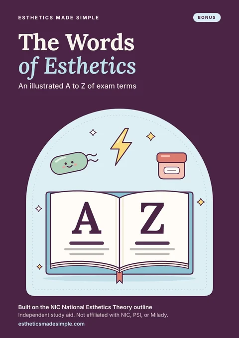Bonus: The Words of Esthetics cover